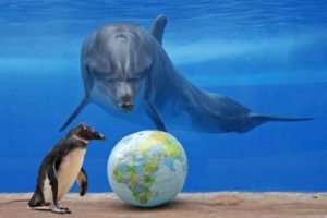 Океанские приключения