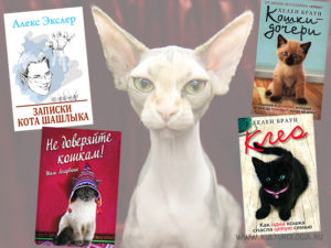 «Котик, котик, ласковый животик…»